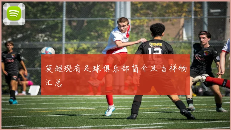 英超现有足球俱乐部简介及吉祥物汇总