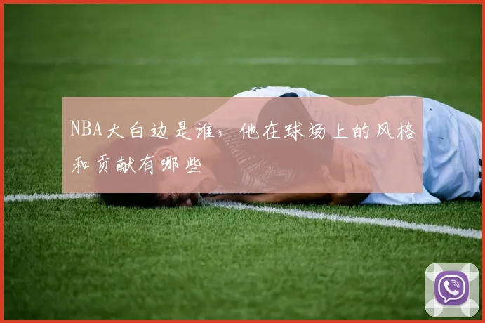 NBA大白边是谁，他在球场上的风格和贡献有哪些