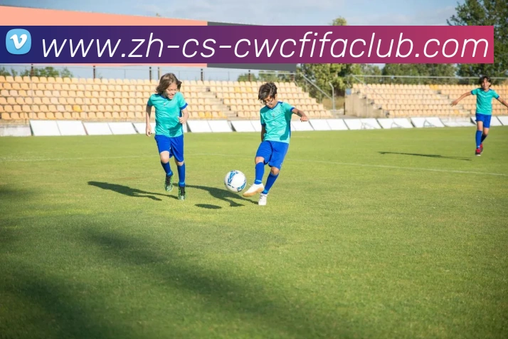 App Interface Preview